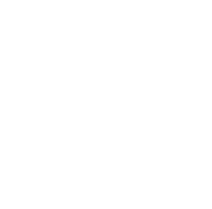 Zajíc 001 pravá