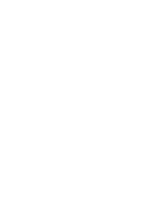 Zebra 001 levá hlava