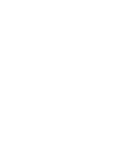 Zebra 001 pravá hlava