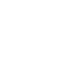 Zebra 002 levá