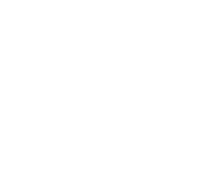 Zebra 002 pravá