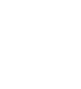 Želva 006 levá pohoda